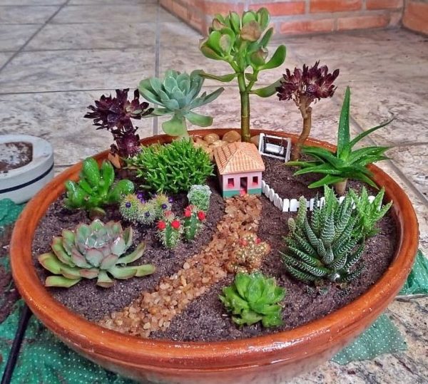 Mini Jardín Zen