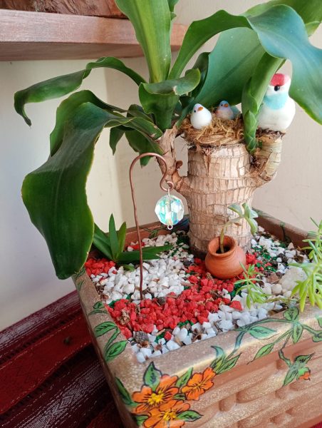 Mini Jardín Nido